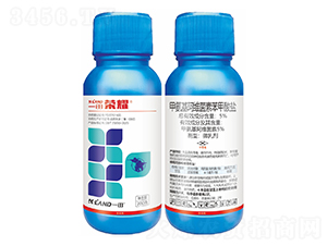 5%�װ������S���ر������}΢�鄩-һ��sҫһ������