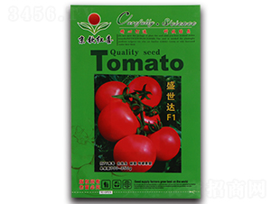 ���t���N��-ʢ���_(d��)F1-�M��t��