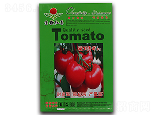 ���t���N��-��������F1-�M��t��