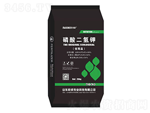 ��������-����-Ǭ��