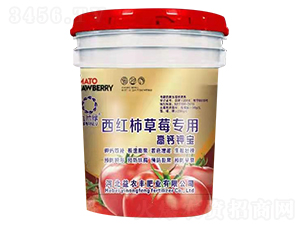 ���t����ݮ���ø��}⛌�-��Ƭ�G-���r(n��ng)�S 