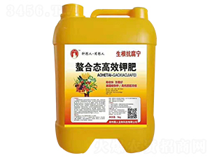 ���ϑB(t��i)��Ч⛷�-��ؼZ��