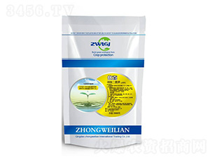 ��������-��(y��u)ϲ-��΢