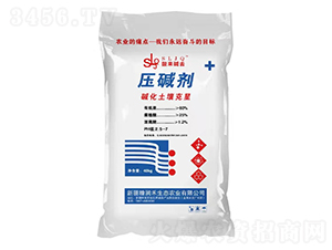 ���A��-���Aȥ-������