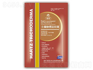 ����̎�����-ֲ�^-�����r(n��ng)�I(y��)