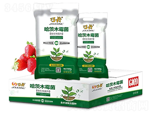 ����ľù��-�ɵ�-�f(w��n)��ȵ�