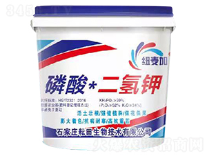 ���ᣫ�����-�~����-��������