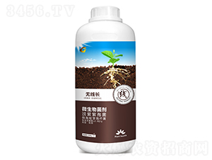 1000g΢�������-�o���L-���ý�