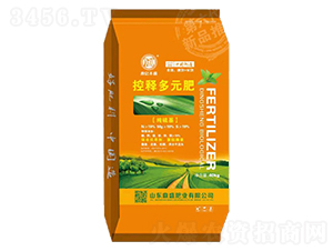 1��ጶ�Ԫ��-���|�Sʢ-��ʢ�ʘI(y��)