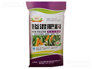 ��׷���׌��Ó������-ʩ����