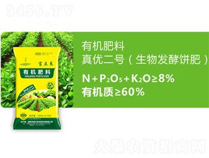 ����l(f��)���-�惞(y��u)��̖-������