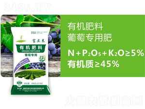 ���ь����ЙC(j��)��-������