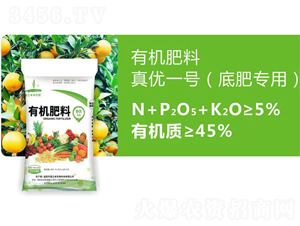 �׷ʌ����ЙC(j��)����-�惞(y��u)һ̖(h��o)-������