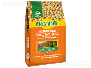 ΢�������-������-���垳