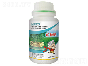 ���������-��r��-���r(n��ng)���� 