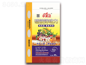 ���@�\��(d��ng)��-�A���_(d��)-ȫ�r(n��ng)�μ�