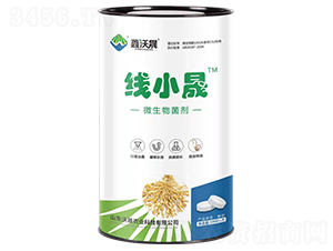 ΢�������-��(xi��n)С��-�����r(n��ng)�I(y��)