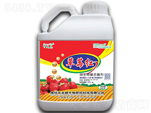 ��ݮ�t��΢�����(f��)�Ͼ�����-������-��������