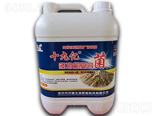 ʮ�Ń|�๦�܏�(f��)�Ͼ�-������-��������