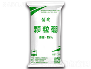 �w����ʩ���-����