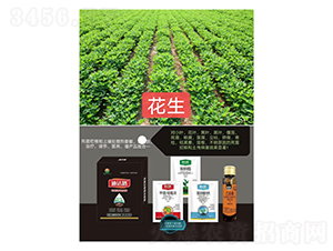 ���砀���M���ײͣ��������ã�-�Ϸ�·-�Z�M�� 