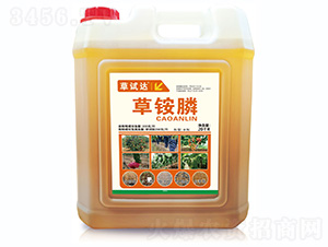 ���@좣�20kg��-��ԇ�_(d��)-���S����