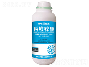 500ml�}�V�\��-�����֠���