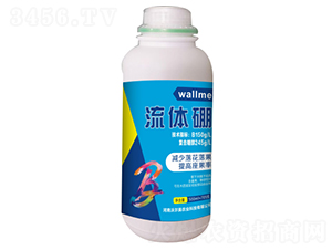 500ml���w��-�����֠���