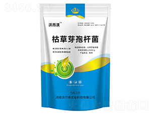 �ݲ�ѿ�ߗU��-�����֠���