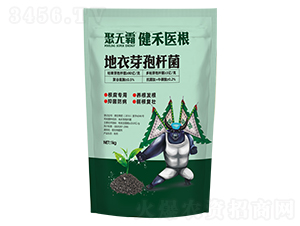 �����t(y��)������ѿ�ߗU��-�۟o(w��)��-���S����