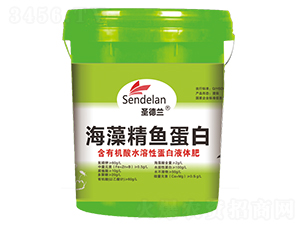 ���徫�~����-ʥ���m