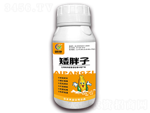 �������S���a(ch��n)��-������-�����r(n��ng)��