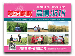 �������볿��3518-С���N��-�����N�I(y��)