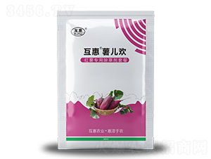 �t�팣�ó��݄��ײ�-����