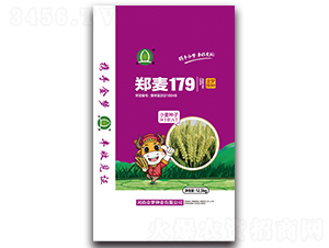 ����179��12.5kg��-С���N��-�����N�I(y��)