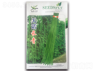 ���Z�L(zh��ng)��-���ǷN��-����N�I(y��)