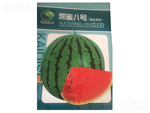 �P�۰�̖(h��o)-���ϷN��-����N�I(y��)