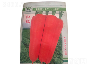 �t��-�t�}���N��-����N�I(y��)