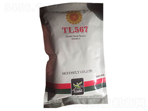 TL567���տ��N��-����N�I(y��)