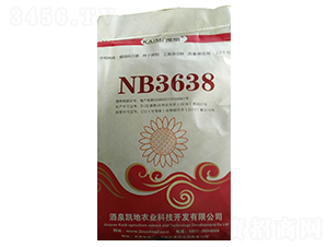 NB3638���տ��N��-����N�I(y��)