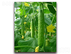 ��(r��n)�S2-�S�ϷN��-�r(n��ng)֮��(r��n)