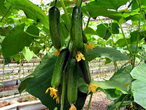 ��(r��n)�S9-�S�ϷN��-�r(n��ng)֮��(r��n)