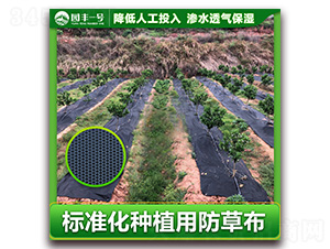 �˜ʻ��Nֲ�È@�Sһ̖���ݲ�