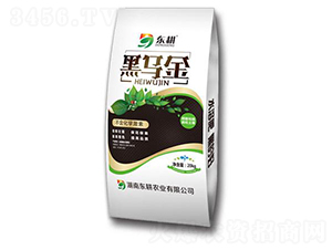 �����{(di��o)�턩-�ڞ���-�|��