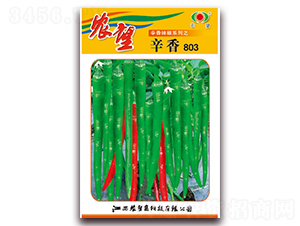 ����803-�����N��-�r(n��ng)��