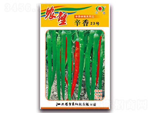 ����23̖-�����N��-�r(n��ng)��