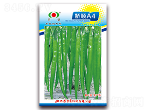 ���A4-�����N��-�r(n��ng)��