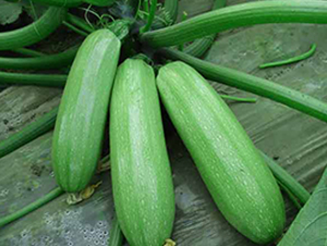 ����2-�����J�N��-�r(n��ng)֮��(r��n)