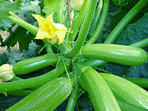 ����6-�����J�N��-�r(n��ng)֮��