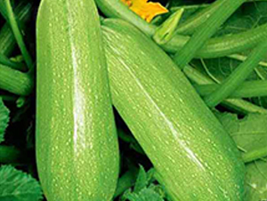 ����6�����J�N��-�r(n��ng)֮��